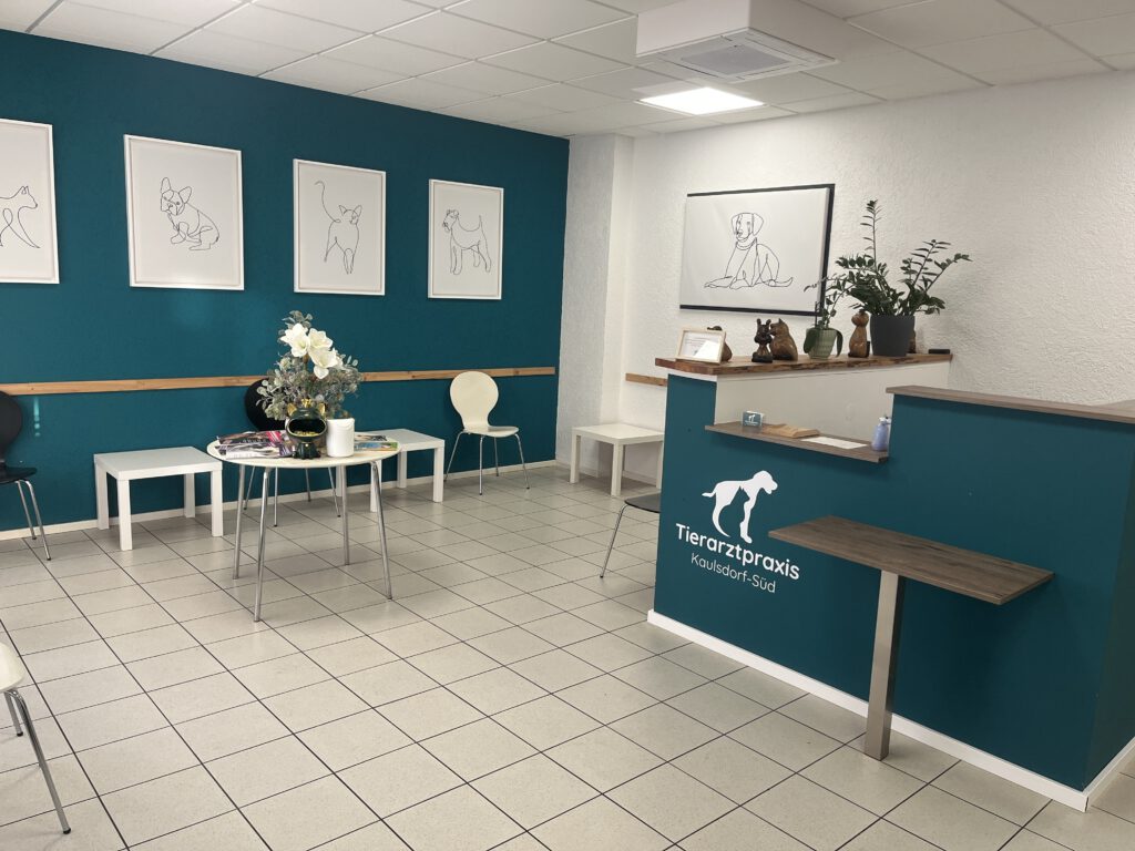 Rezeption und Wartebereich